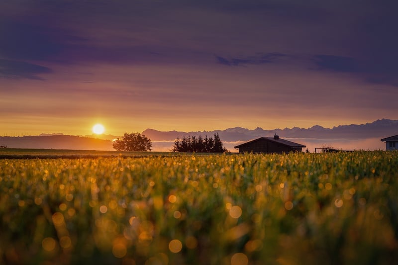 Mountain Cabin at Sunset
